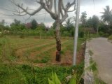 Di jual tanah pinggir jalan di korong gadang Kuranji padang Rp650.000