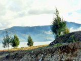 Di jual tanah pinggir danau Alahan panjang Rp250.000
