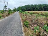 Dijual tanah murah tepi jalan aspal Rp150.000