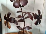 Bunga Hias Batok Kelapa Rp350.000