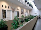 1 Bed 1 Bath - Apartment