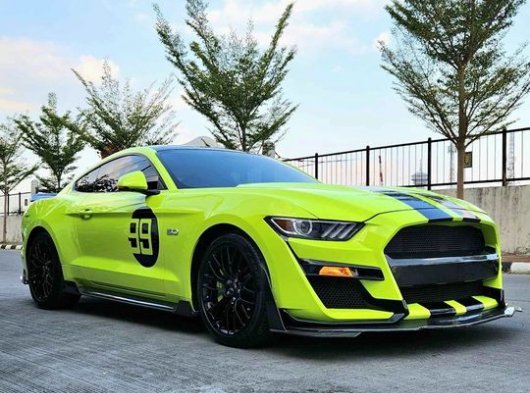 2017 Ford mustang gt500