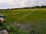 JUAL TANAH GLOBAL IMAMBONJOL LUAS 18 ARE