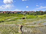 JUAL TANAH DAWAS TIBUBENENG CANGGU
