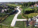 Tanah murah Canggu