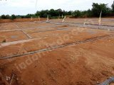 Tanah Kavling Murah