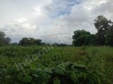 jual tanah