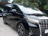 ALPHARD X 2018 The best price