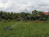 Dijual tanah luas 1240m