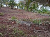 di jual lahan 3,5 hektar berisi sawit