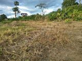 TANAH KOSONG 20 METER DARI JALAN RAYA BUKITTINGGI- PADANG