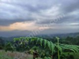 JUAL TANAH