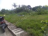 Di jual tanah, lokasi BALAI TANGAH , KEC. PAYAKUMBUH UTARA