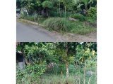 DIJUAL TANAH PINGGIR JALAN TANPA PERANTARA