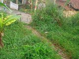Lahan perkebunan Kebun