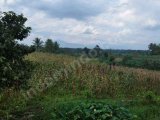 Dijual tanah....luas 1030 m2