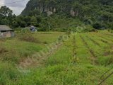 Dijual tanah di tepi jalan menuju wisata lembah harau