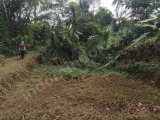 Jual tanah empang dan darat