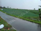 TANAH SUBUR PINGGIR JALAN SEJUK DAN ASRI, SUDAH SHM