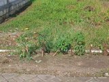 TANAH SIAP BANGUN BANYU URIP MENGANTI GRESIK BATAS SURABAYA