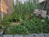 Jual Tanah murah Di Kendung surabaya barat