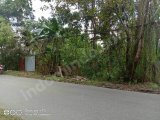 Numpang posting admin ... BG bsdr yg mau buka tempat usaha .. ada tanah kosong buat di kontraLPasso