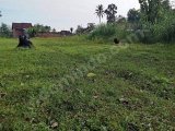 Tanah pekarangan