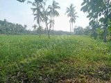 Tanah murah
