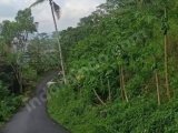 Tanah kosong