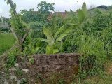 Tanah ukuran 15 x 8 m