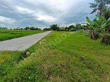 TANAH KAVLING TERLARIS VIEW SAWAH ITR KUNING DEKAT JALUR PANTAI KEDUNGU TANAH LOT